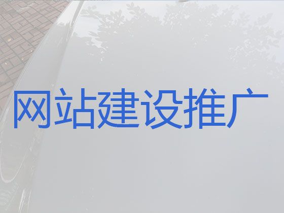 德宏专业网站建设公司@软件系统开发，专业建站公司