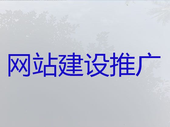 六安市商城建设#专业网站设计建设，专业建站